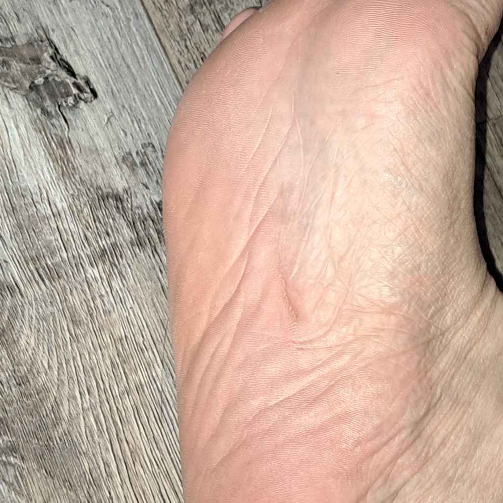 Junior High School Trip Gone&nbsp;Wrong