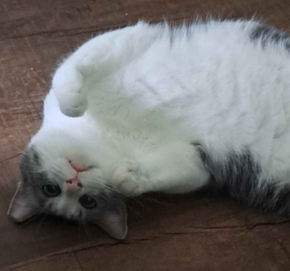 Bumpy November, 2024